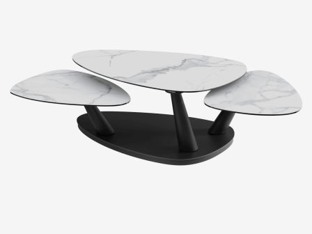 COFFEE TABLE CAMELIAS
