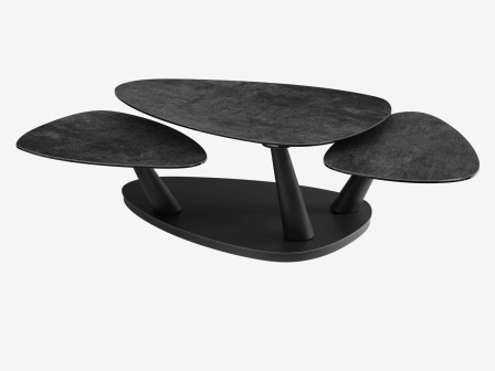 COFFEE TABLE CAMELIAS