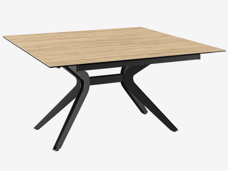 DINING TABLE FASCINATION