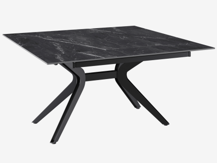 DINING TABLE FASCINATION